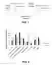 Fig. 02 - Switchgrass ubiquitin promoter (PVUBI2) and uses thereof