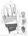 Fig. 02 - Branded Gloves and Method for Producing the Same