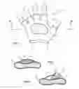 Fig. 02 - Therapeutic glove