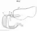 Fig. 07 - Goggle lens interchange system
