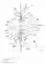 Fig. 02 - SCOTCH YOKE ENGINE OR PUMP
