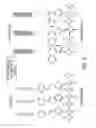 Fig. 03 - Offset printing process using light controlled wettability