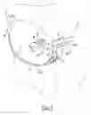 Fig. 03 - Female condom