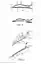 Fig. 07 - Hair clip