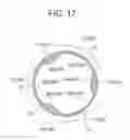 Fig. 12 - Resin boots for constant velocity universal joint