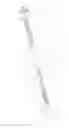 Fig. 04 - SPRING ASSIST FOR MULTI BAND ROLLER SHADE