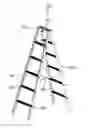 Fig. 01 - Lambdoidal ladder