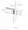 Fig. 07 - Lambdoidal ladder
