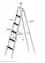 Fig. 09 - Lambdoidal ladder
