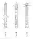 Fig. 04 - Analyte injection system