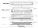 Fig. 01 - Method and device for analyzing lipid component contained in serum