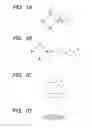 Fig. 02 - IMMUNOASSAY