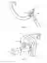 Fig. 07 - Garland hanger