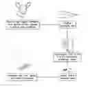 Fig. 01 - Method and apparatus for detecting organic materials and objects from multispectral reflected light
