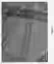 Fig. 02 - Composites comprising carbon nanotubes on fiber
