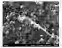 Fig. 01 - Methods of Producing Carbon Nanotubes and Applications of Same