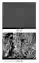 Fig. 05 - Methods of Producing Carbon Nanotubes and Applications of Same