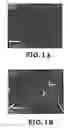 Fig. 02 - Mechanically Stiff, Electrically Conductive Composites of Polymers and Carbon Nanotubes