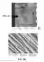 Fig. 06 - Optical devices featuring nonpolar textured semiconductor layers