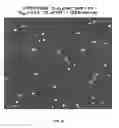 Fig. 09 - Ring pixel for CMOS imagers