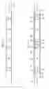 Fig. 03 - Semiconductor device and method of forming wafer level ground plane and power ring