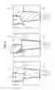 Fig. 09 - SEMICONDUCTOR DEVICE AND METHOD OF MANUFACTURING THE SAME