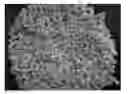 Fig. 01 - THERMOPLASTIC POLYACRYLONITRILE PRODUCTION PROCESS