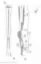 Fig. 03 - Oral hygiene device