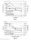 Fig. 02 - Composite materials comprising propylene-based polymer blend coatings