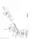 Fig. 03 - WINDOW TILT LATCH