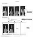 Fig. 17 - Method and apparatus of identifying human body posture