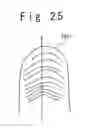 Fig. 19 - Apparatus for inputting biometrical feature