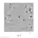 Fig. 06 - Wafer imaging and processing method and apparatus