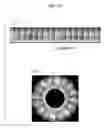Fig. 93 - Image processing apparatus and method for displaying images