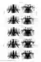 Fig. 09 - Luminance enhancement optical substrates with anti-interference-fringe structures
