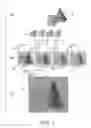Fig. 02 - STEREOSCOPIC PRINT