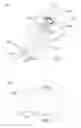 Fig. 02 - Compact imaging device