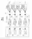 Fig. 02 - Optical fiber network with improved fiber utilization