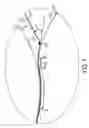 Fig. 04 - Apparatuses useful in printing, fixing devices and methods of stripping media from surfaces in apparatuses useful in printing