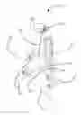 Fig. 01 - Suspension restraint system