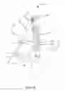 Fig. 05 - Suspension restraint system