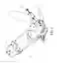 Fig. 02 - Stroller and adjusting mechanism thereof