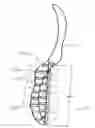 Fig. 35 - Transverse-axis turbine with twisted foils