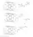 Fig. 01 - NANOTUBES FOR CANCER THERAPY AND DIAGNOSTICS