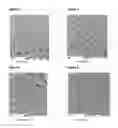 Fig. 02 - Tooth sensitivity treatment compositions