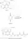 Fig. 45 - Immunomodulatory agent-polymeric compounds
