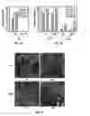 Fig. 02 - Methods and compositions related to immunizing against lung disease and conditions