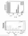 Fig. 07 - Methods and compositions related to immunizing against lung disease and conditions