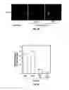 Fig. 08 - Methods and compositions related to immunizing against lung disease and conditions