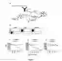 Fig. 03 - IMMUNOTHERAPY OF AUTOIMMUNE DISORDERS